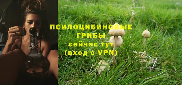 кокс Арсеньев