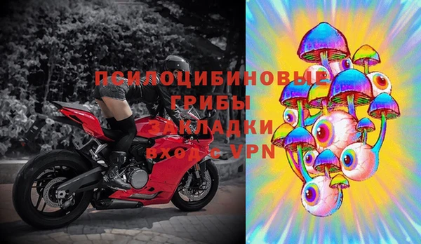 соль ск Балахна